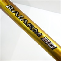 ２２ライアームＢＧ３－５００